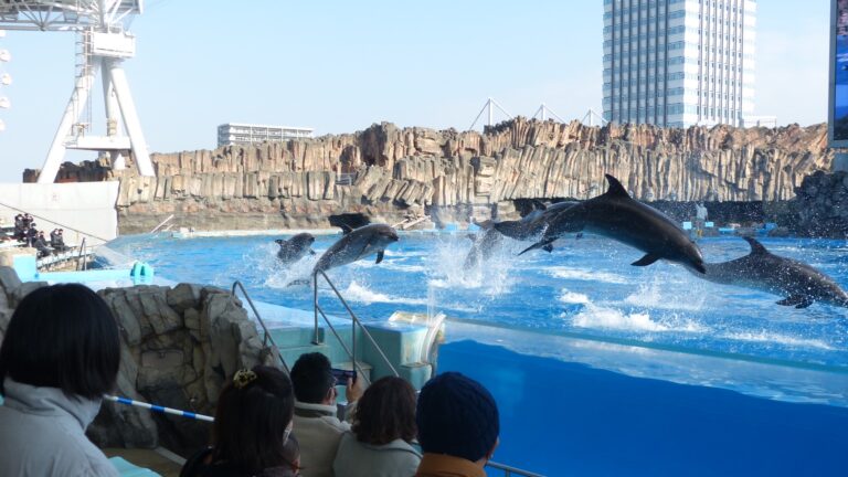 ?名古屋港水族館?
