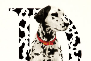 映画のポスターをデザイン