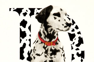 映画のポスターをデザイン